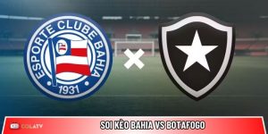 Soi kèo Bahia vs Botafogo, 3h30 ngày 31/5 – Brazil Serie A